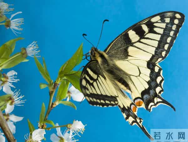 40个“冷到起鸡皮”的冷知识