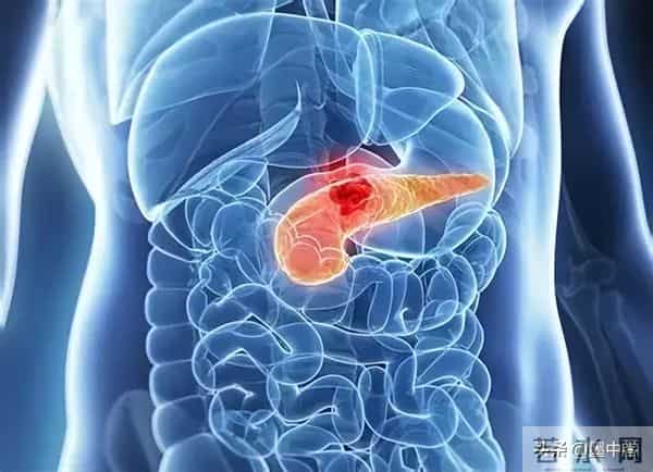 碾压传统疫苗！小鼠250天无瘤，成功率最高88%，癌症防线已攻破？