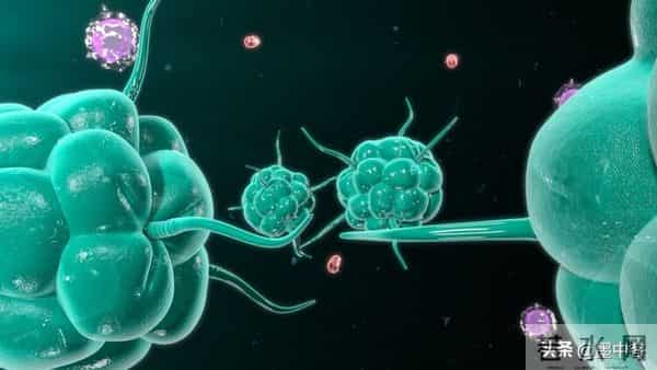 碾压传统疫苗！小鼠250天无瘤，成功率最高88%，癌症防线已攻破？