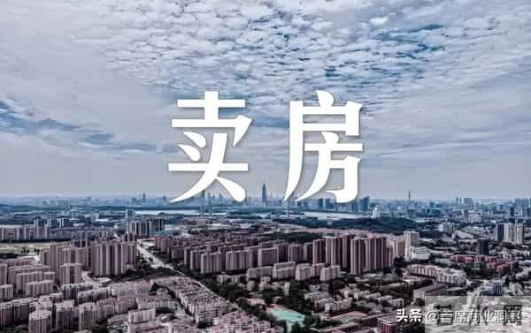 被指“智商税”？又一科企创始人曾卖房自救险破产，今成全球第一