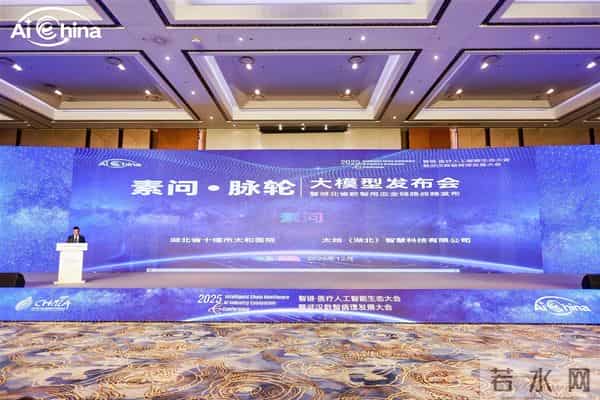 直击2025智链·医疗人工智能生态大会，AI赋能医疗新生态