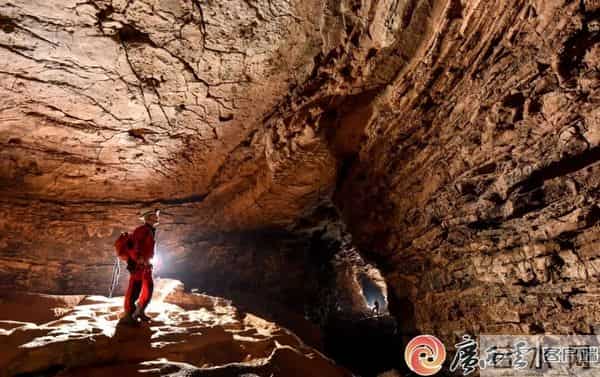 柳州这地有新发现！神奇生物出没，“一直往人身上凑”