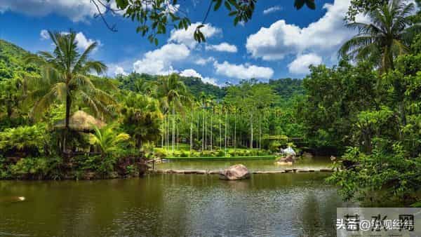 全球气候危机加剧，亚马孙干旱敲警钟，中国沙漠绿化迎来重大突破