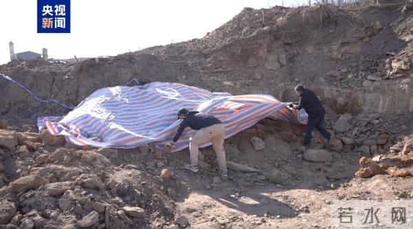 国家一级重点保护!山西一工地发现2.9亿年前大型木化石,直径达1米,出露长度5米