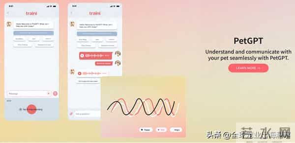 4人创业开发的一款宠物产品火了，轰动海外