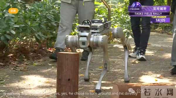 机器人集体到香港户外极限挑战，狗比人强