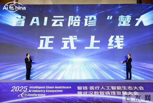直击2025智链·医疗人工智能生态大会，AI赋能医疗新生态