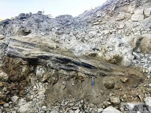 “国家一级”！山西阳泉太旧高速路改线工程现场发现