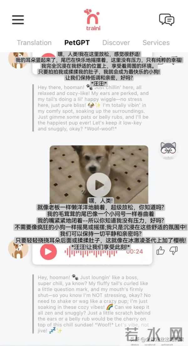 4人创业开发的一款宠物产品火了，轰动海外