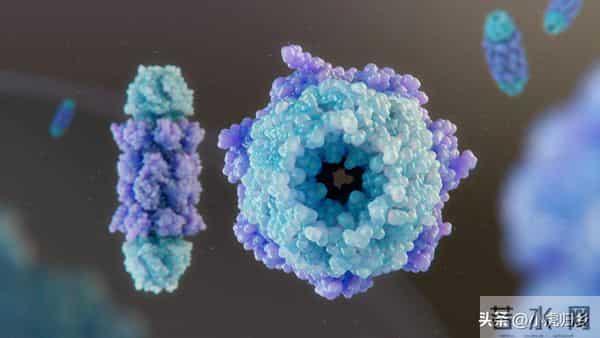 2025年度《nature》十大人物揭晓，中国梁文锋、杜梦然入选