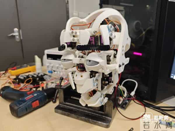 靠一台电脑和3D打印机，80后男子在杭州车库手搓机器人