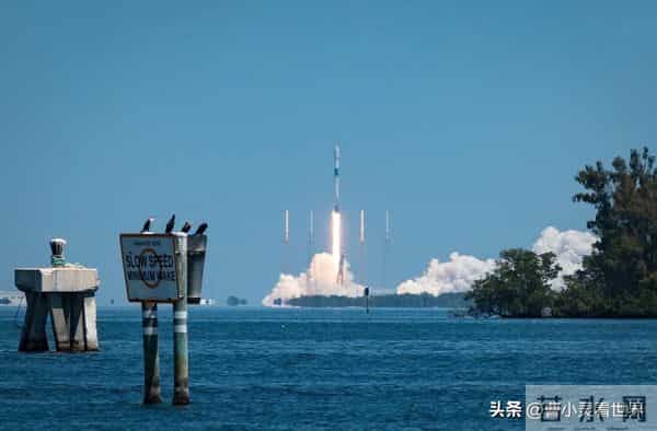 马斯克嫌8000亿估值太低？强调不融资因为不差钱，发火箭很赚的