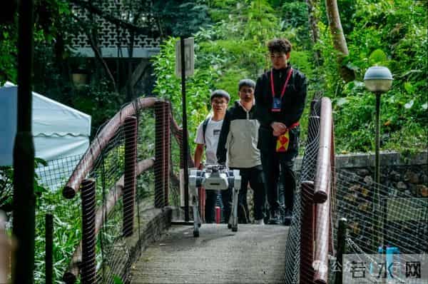 机器人集体到香港户外极限挑战，狗比人强