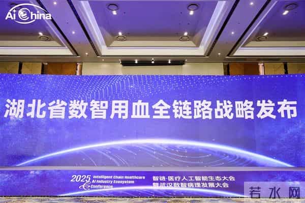 直击2025智链·医疗人工智能生态大会，AI赋能医疗新生态