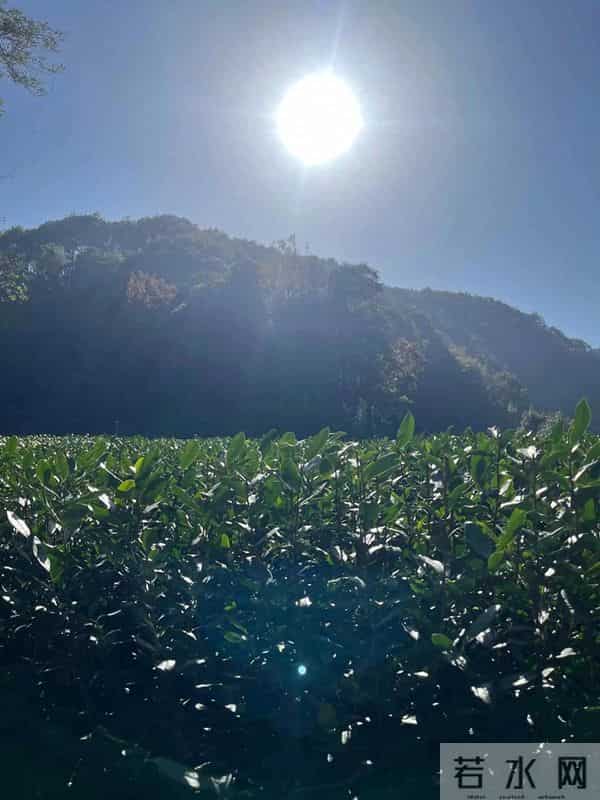 网贷的“死亡账单”：多少青春埋于此，多少家庭碎成尘？