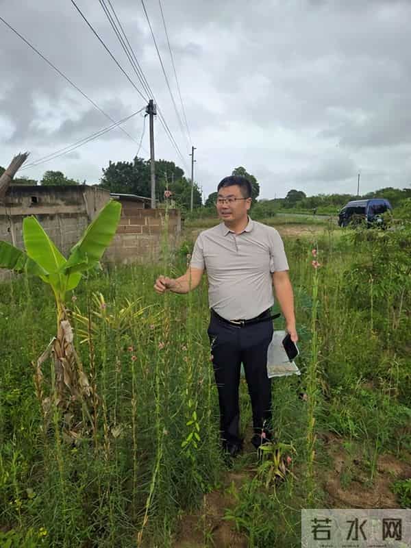 2025年荆楚科技工作者风采展示 - 王林海：十年深耕“小芝麻”架起中非合作大桥梁