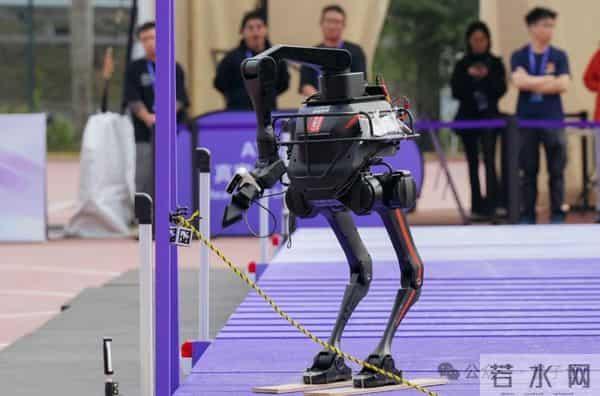 机器人集体到香港户外极限挑战，狗比人强