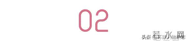 放弃200万年薪，32岁“天才少年”要兑现“极客的浪漫”