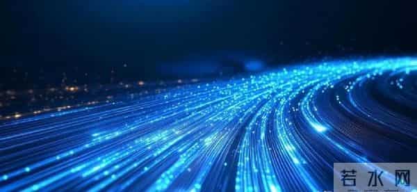 光纤四强争霸：谁是潜力股？