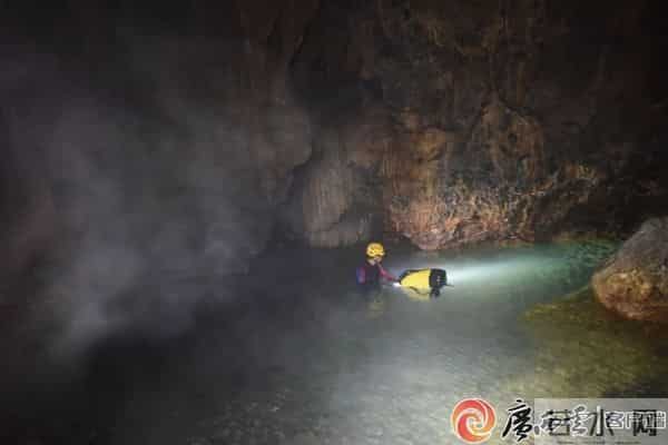 柳州这地有新发现！神奇生物出没，“一直往人身上凑”