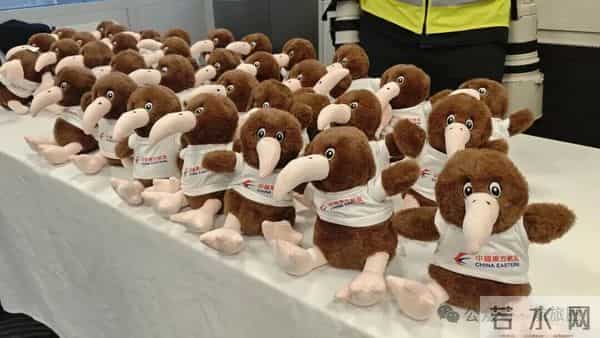 首测全球最长航线，挑战飞机上度过26小时