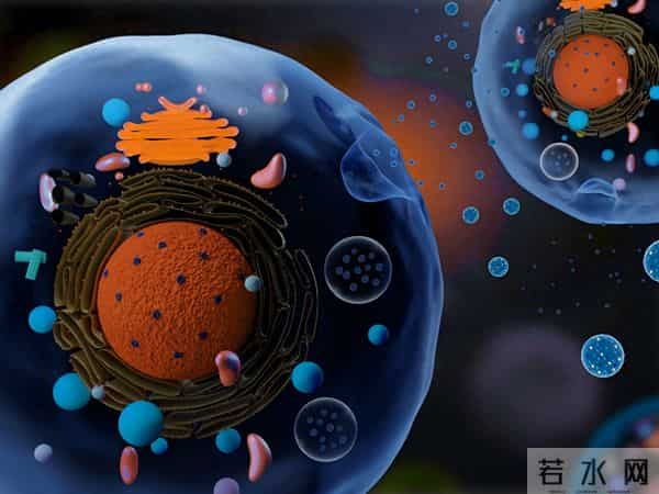 外泌体载药有多强？科学家称它是“天然精准导弹“
