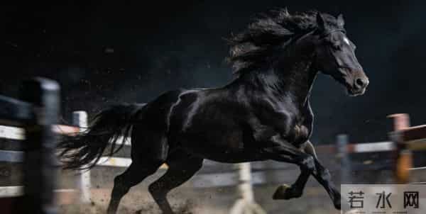 C 或成“2025 年度编程语言”,「黑马」R 语言杀回前十!TIOBE 12 月榜单发布