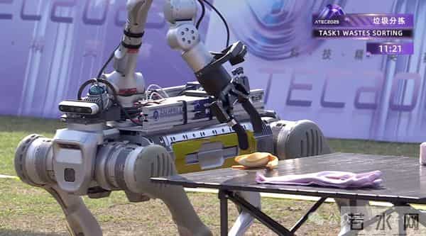 机器人集体到香港户外极限挑战，狗比人强