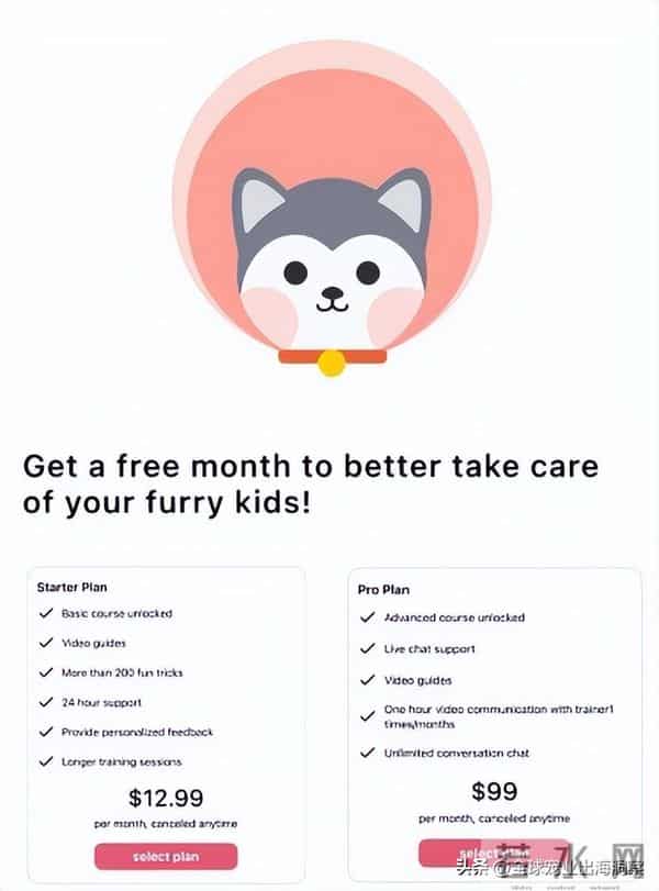 4人创业开发的一款宠物产品火了，轰动海外