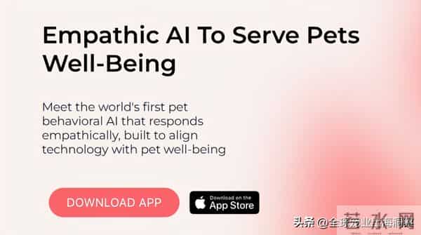 4人创业开发的一款宠物产品火了，轰动海外