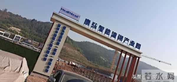 被指“智商税”？又一科企创始人曾卖房自救险破产，今成全球第一