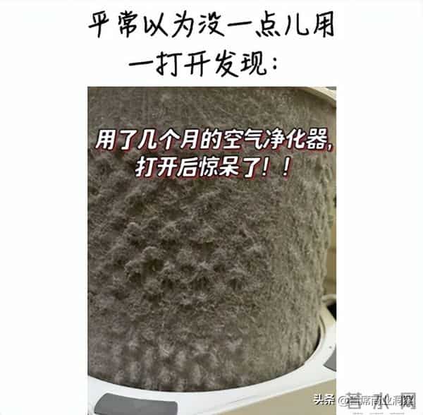 被指“智商税”？又一科企创始人曾卖房自救险破产，今成全球第一