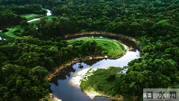 全球气候危机加剧，亚马孙干旱敲警钟，中国沙漠绿化迎来重大突破