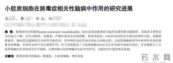 “全网最忙五人组”勇闯学术圈?现身一期刊编委会被曝光后改英文,所收录论文频频撞题