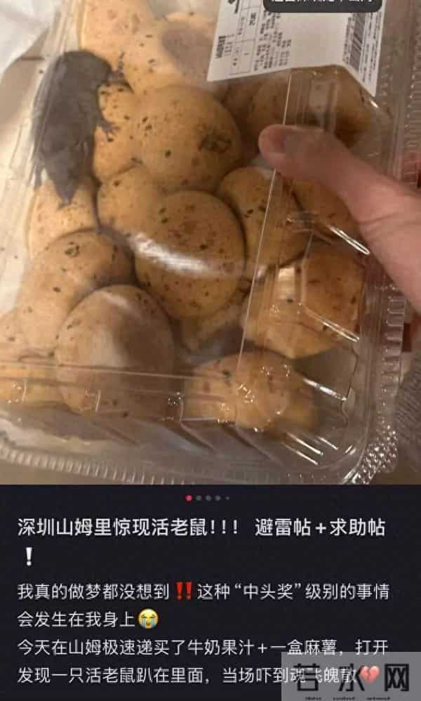 山姆麻薯盒内出现活鼠，当事人：打开那一刻，人都吓蒙了