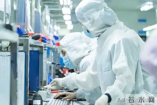 被指“智商税”？又一科企创始人曾卖房自救险破产，今成全球第一