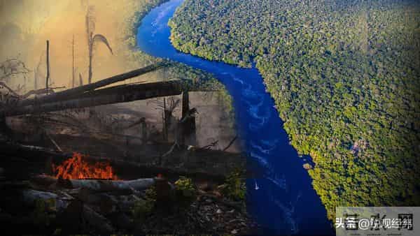 全球气候危机加剧，亚马孙干旱敲警钟，中国沙漠绿化迎来重大突破