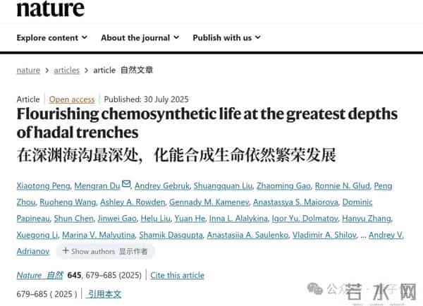 梁文锋,Nature全球年度十大科学人物!