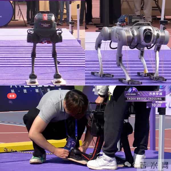 机器人集体到香港户外极限挑战，狗比人强