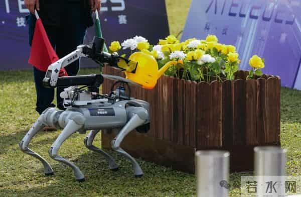 机器人集体到香港户外极限挑战，狗比人强