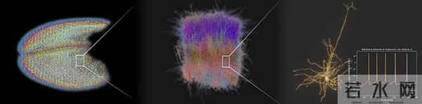 美日科学家用超级计算机创造出迄今为止最逼真的“人类大脑 ”