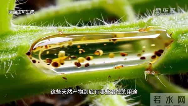新技术、新模式助力植物化学研究——访中国科学院院士郝小江