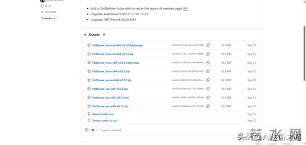 NetSonar:让网络诊断变得简单直观的跨平台工具