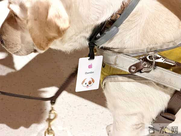 北京荟聚中心的 Apple Store 开业了,人山人海中,去感受苹果带来的新细节