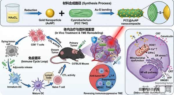 我的科研绘图终于有救了！！！