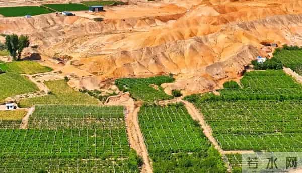 能源格局要变天!美国啃了50年的硬骨头,中国在戈壁滩拿下了