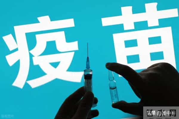 碾压传统疫苗！小鼠250天无瘤，成功率最高88%，癌症防线已攻破？