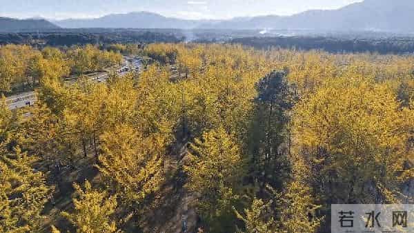 边陲小城腾冲，缘何让中外科学家跨越山海而来？