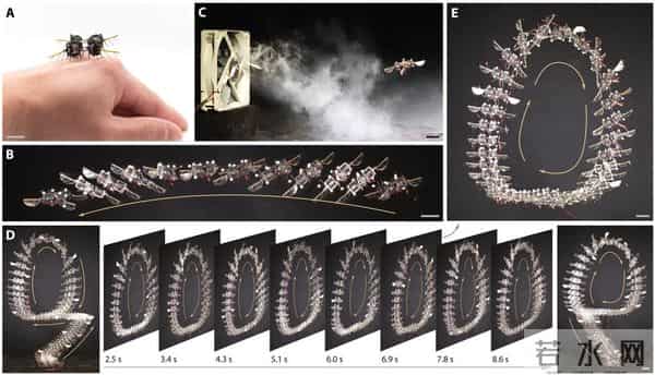 昆虫机器人装了个AI大脑,11秒连翻10个跟头
