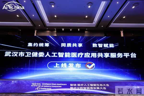 直击2025智链·医疗人工智能生态大会，AI赋能医疗新生态